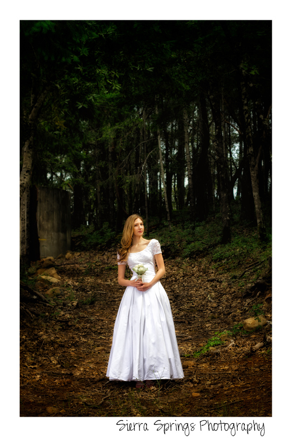 Beautiful bride in a dark forest,.