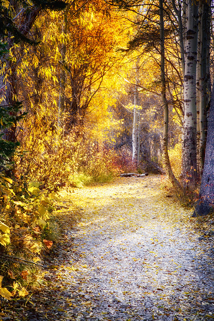 A fall walk towards Desolation