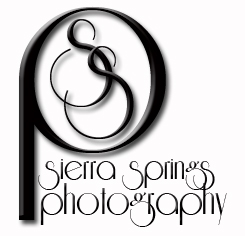 Sierra Springs Photo Blog logo