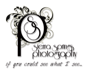 Sierra Springs Photo Blog logo