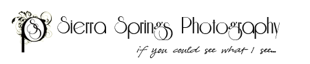 Sierra Springs Photo Blog logo